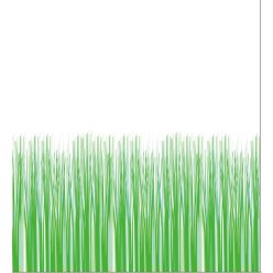 Diplon CN73151 Textil zuhanyfüggöny - 180x200 cm